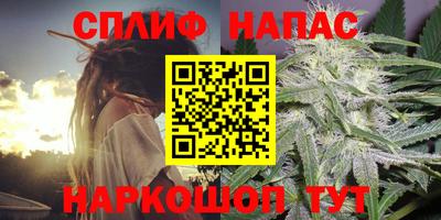 амф Гай
