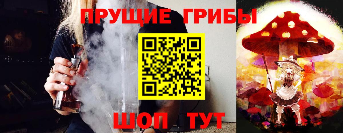 Псилоцибиновые грибы Cubensis  где можно купить наркотик  Вязники  Вход с VPN 